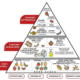 Piramide alimentare